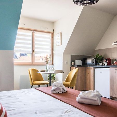 Lumineux - L'Oasis - Parking Prive Lägenhet Strasbourg Exteriör bild