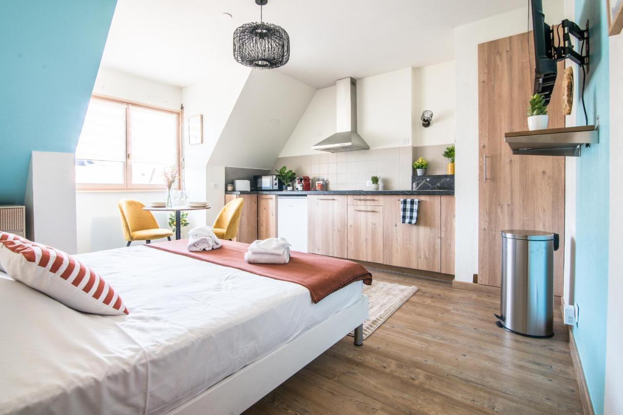 Lumineux - L'Oasis - Parking Prive Lägenhet Strasbourg Exteriör bild