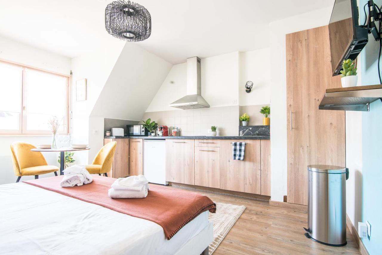 Lumineux - L'Oasis - Parking Prive Lägenhet Strasbourg Exteriör bild